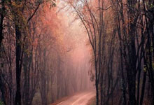 开云体育APP下载-马来西亚队绝杀印尼队，桃田贤斗点燃赛场