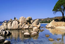 开云官网-南北争锋：吉林的期盼执念与四川的锋芒出鞘