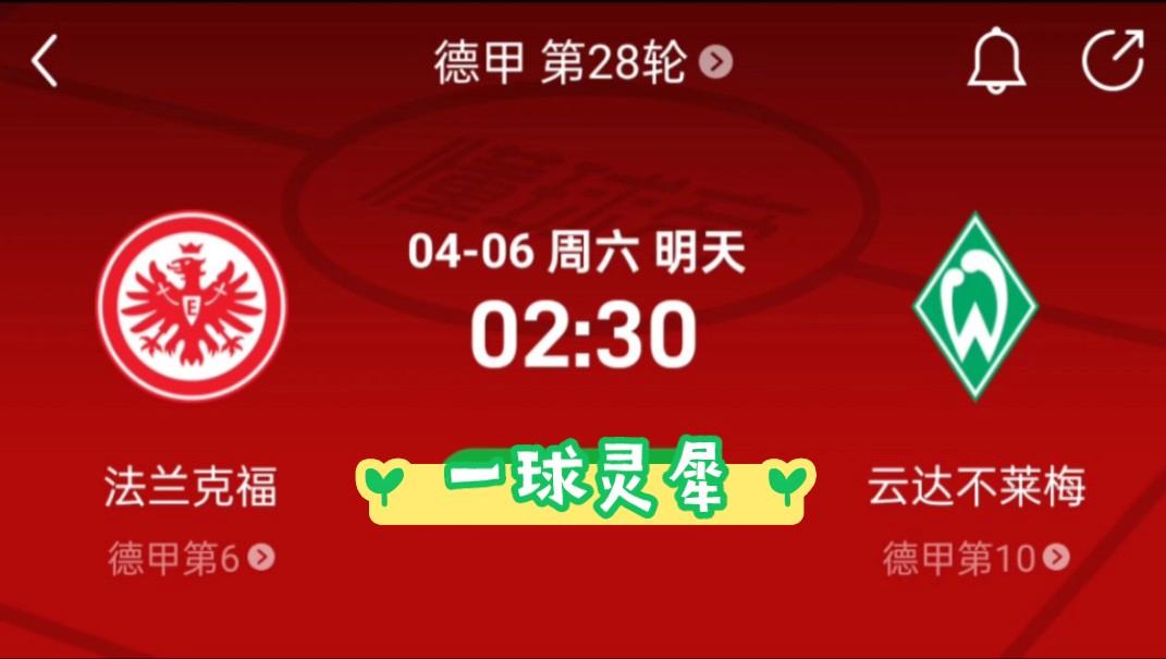 保持稳定！云达不来梅继续拿分的简单介绍