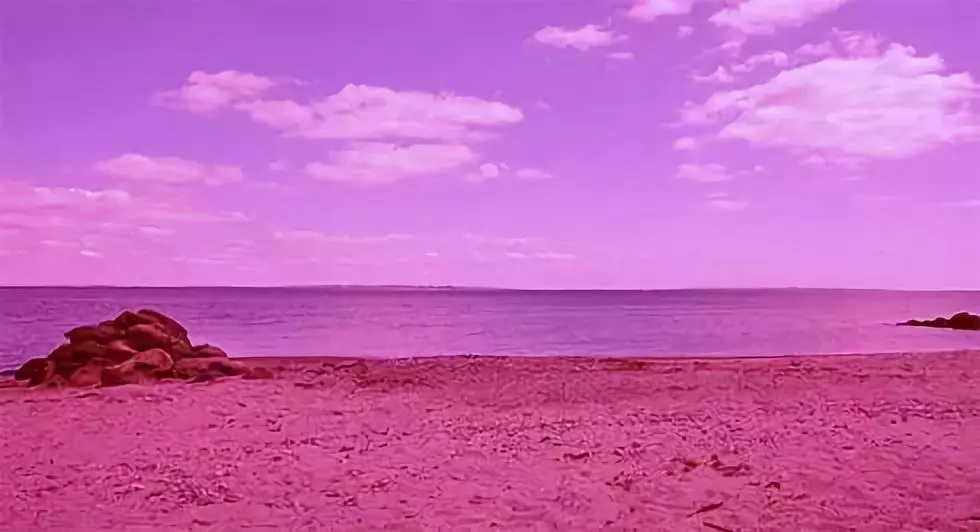 巴拿马游泳选手速度惊人,实至名归的简单介绍 巴拿马游泳选手速度惊人,实至名归的简单介绍