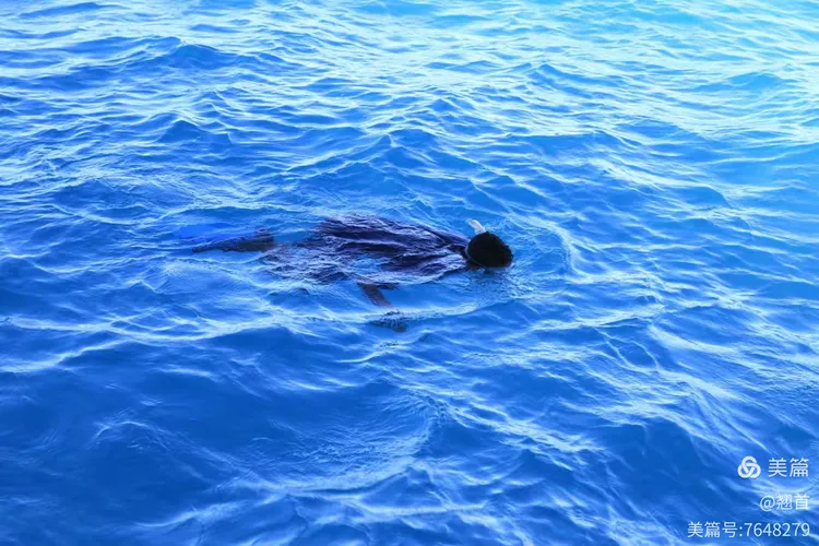 埃及射击选手在比赛中展示高超技艺 埃及射击选手在比赛中展示高超技艺