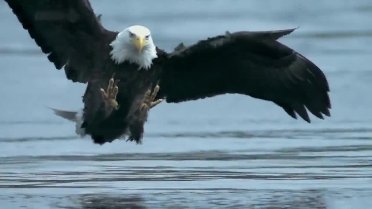 开云体育入口-老鹰逆转森林狼，喜迎胜利